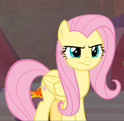 Size: 879x853 | Tagged: safe, screencap, fluttershy, pegasus, pony, sweet and smoky, cropped, female, fluttershy is not amused, mare, solo, unamused