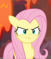 Size: 717x825 | Tagged: safe, screencap, fluttershy, pegasus, pony, sweet and smoky, angry, cropped, cute, female, floppy ears, fluttershy is not amused, madorable, mare, solo, unamused