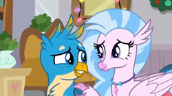 Size: 1024x572 | Tagged: safe, screencap, gallus, silverstream, classical hippogriff, griffon, hippogriff, the hearth's warming club, cute, diastreamies, female, gallabetes, looking at each other, male, raised claw, shipping fuel, smiling, touching