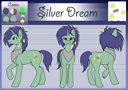 Size: 2912x2059 | Tagged: safe, artist:dreamyartcosplay, oc, oc only, oc:silver dream, pony, unicorn, feather, horn, peytral, raised hoof, reference sheet, underhoof, unicorn oc