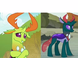 Size: 3081x2304 | Tagged: safe, edit, edited screencap, screencap, pharynx, thorax, changedling, changeling, to change a changeling, triple threat, exploitable meme, king thorax, mario brothers' views, meme, meme template, ponified meme, prince pharynx