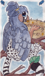 Size: 903x1491 | Tagged: safe, artist:crunchycrowe, oc, oc only, oc:ruzeth, griffon, feather, finch, male, nest, solo, species swap, traditional art, tree, tree branch, zebra finch