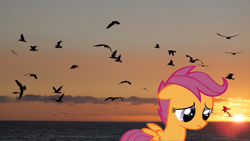 Size: 728x410 | Tagged: safe, scootaloo, bird, pegasus, pony, seagull, alone, female, filly, ocean, sad, scootalone, scootasad, solo