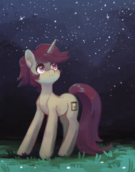 Size: 1601x2030 | Tagged: safe, artist:koviry, oc, oc only, oc:lavrushka, pony, unicorn, female, looking back, mare, night, solo, starry night, stars