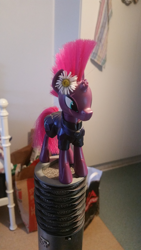 Size: 1836x3264 | Tagged: safe, tempest shadow, flower, flower in hair, irl, photo, solo