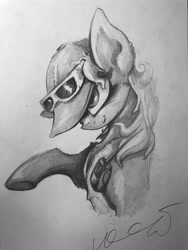 Size: 3024x4032 | Tagged: safe, artist:ignis, oc, oc only, earth pony, pony, solo, sunglasses, traditional art