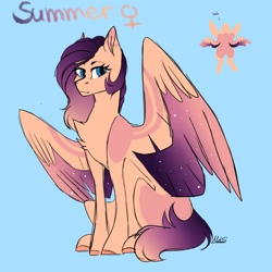 Size: 3000x3000 | Tagged: safe, artist:sacaat, oc, oc only, oc:summer, pegasus, pony, blue background, chest fluff, coat markings, female, looking at you, mare, reference sheet, simple background, sitting, solo, spread wings, starry wings, wings