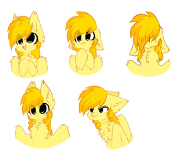 Size: 1536x1476 | Tagged: safe, artist:little-sketches, oc, oc only, oc:firefly, pegasus, pony, chest fluff, chibi, ear fluff, floppy ears, male, simple background, solo, stallion, white background