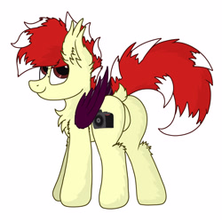 Size: 3000x3000 | Tagged: safe, artist:aaathebap, oc, oc only, oc:aaaaaaaaaaa, bat pony, pony, bat pony oc, butt, featureless crotch, fluffy, male, plot, solo