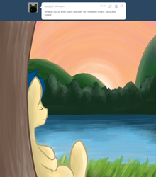 Size: 1000x1135 | Tagged: safe, artist:shadowkixx, oc, oc:sunray smiles, pony, ask, ask sunray smiles, male, solo, stallion, sunset, tumblr