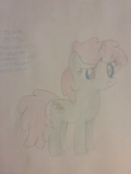 Size: 1944x2592 | Tagged: safe, artist:jaredking179, oc, oc only, oc:clear petal, pony, unicorn, female, traditional art