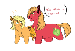 Size: 1280x878 | Tagged: safe, artist:colourstrike, derpibooru import, edit, applejack, big macintosh, oc, oc:chrysanthos, earth pony, pegasus, pony, aunt applejack, baby, baby pony, behaving like a bat, brother and sister, clinging, colt, confused, cropped, ear fluff, eyes closed, father and child, father and son, female, floppy ears, freckles, hatless, male, mare, missing accessory, offspring, parent and child, parent:big macintosh, parent:fluttershy, parents:fluttermac, question mark, siblings, simple background, sleeping, stallion, talking, white background