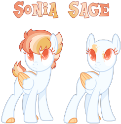 Size: 1936x1972 | Tagged: safe, artist:youkastray, oc, oc:sonia sage, pegasus, pony, bald, female, magical lesbian spawn, mare, offspring, parent:rainbow dash, parent:twilight sparkle, parents:twidash, simple background, solo, transparent background