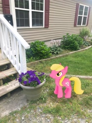 Size: 3024x4032 | Tagged: safe, photographer:undeadponysoldier, lily, lily valley, earth pony, pony, augmented reality, bush, female, flower, gameloft, garden, house, irl, mare, photo, ponies in real life, porch, potted plant, solo