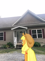 Size: 3024x4032 | Tagged: safe, derpibooru import, photographer:undeadponysoldier, applejack, earth pony, pony, applejack's hat, augmented reality, bush, cowboy hat, door, female, gameloft, garden, hat, house, irl, mare, photo, ponies in real life, porch, solo, window