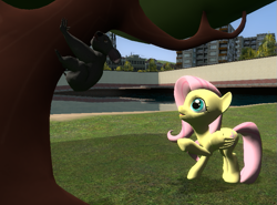 Size: 793x587 | Tagged: safe, artist:didgereethebrony, fluttershy, earth pony, koala, pegasus, pony, 3d, gmod, this will end in hugs, tree