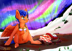 Size: 1400x1000 | Tagged: safe, artist:miarmika, artist:scorpi, oc, oc:griffin, pegasus, pony, aurora borealis, bag, blanket, male, snow, ych result