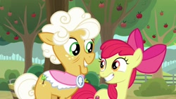 Size: 1920x1080 | Tagged: safe, screencap, apple bloom, goldie delicious, pony, going to seed, apple tree, smiling, tree