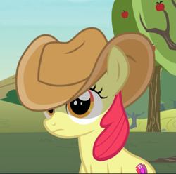 Size: 723x716 | Tagged: safe, screencap, apple bloom, earth pony, pony, honest apple, cowboy hat, cropped, female, filly, hat, shade, solo, stetson