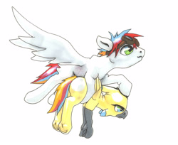 Size: 2556x2082 | Tagged: safe, artist:oddwarg, oc, oc only, oc:oxford nimbus, oc:sulphur nimbus, hippogriff, pegasus, pony, butt feathers, community related, duo, female, flying, flying lesson, folded wings, goggles, hippogriff oc, holding, hoof hold, male, spread wings, stallion, sulphur nimbus, traditional art, underhoof, wings