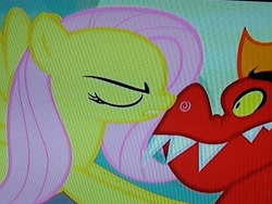 Size: 4160x3120 | Tagged: safe, screencap, fluttershy, garble, dragon, pegasus, pony, sweet and smoky, boop, cropped, eyes closed, out of context, photo, picture of a screen, shrunken pupils