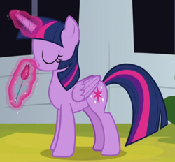 Size: 516x478 | Tagged: safe, screencap, twilight sparkle, twilight sparkle (alicorn), alicorn, pony, sparkle's seven, cropped, flower, solo