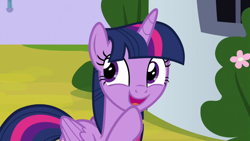 Size: 1920x1080 | Tagged: safe, screencap, twilight sparkle, twilight sparkle (alicorn), alicorn, pony, sparkle's seven, cropped, cute, excited, smiling, solo, twiabetes