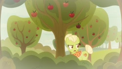 Size: 1920x1080 | Tagged: safe, screencap, granny smith, pony, going to seed, apple, apple tree, flashback, food, solo, tree, young granny smith, younger