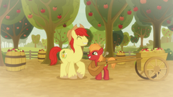 Size: 1920x1080 | Tagged: safe, screencap, big macintosh, bright mac, earth pony, pony, going to seed, apple, apple orchard, apple tree, barrel, big macintosh's yoke, bittersweet, brightabetes, cart, colt, colt big macintosh, cute, duo, duo male, eyes closed, father and child, father and son, food, grin, like father like son, macabetes, male, parent and child, raised hoof, smiling, stallion, tree, yoke, younger