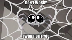 Size: 888x499 | Tagged: safe, edit, edited screencap, screencap, spider, rainbow roadtrip, big eyes, caption, desaturated, discovery family logo, happy, heart, image macro, meme, spider web, text