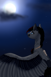 Size: 1024x1520 | Tagged: safe, artist:clarissa0210, oc, oc:silver storm, pegasus, pony, female, mare, moon, simple background, solo, transparent background