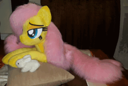 Size: 800x536 | Tagged: safe, artist:ponimalion, fluttershy, animated, gif, irl, life size, photo