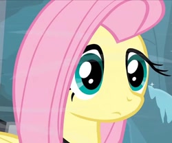 Size: 1296x1080 | Tagged: safe, screencap, fluttershy, pegasus, pony, hearth's warming eve (episode), adorable face, bust, cropped, cute, hearth's warming, portrait, solo