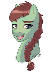 Size: 916x1182 | Tagged: safe, artist:umafluff, oc, oc only, oc:swift stride, pony, braided ponytail, bust, looking at you, male, signature, simple background, solo