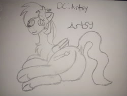 Size: 3264x2448 | Tagged: safe, artist:artsy46, oc, oc:artsy, pegasus, pony, butt, chest fluff, female, happy, looking at you, looking back, looking back at you, lying down, paintbrush, raised tail, signature, sketch, solo, tail, traditional art