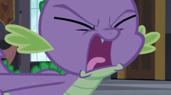 Size: 1024x573 | Tagged: safe, screencap, spike, dragon, princess spike (episode), angry, breakdown, canterlot castle, yelling