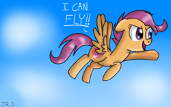 Size: 1280x800 | Tagged: safe, artist:technoponywardrobe, derpibooru exclusive, scootaloo, pegasus, pony, cloud, cute, cutealoo, digital art, flying, happy birthday mlp:fim, lighting, mlp fim's ninth anniversary, older, older scootaloo, scootaloo can fly, shading, sky, solo