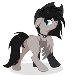 Size: 1125x1194 | Tagged: safe, artist:darkpathwalker9900, oc, pegasus, pony, female, hat, mare, simple background, solo, transparent background