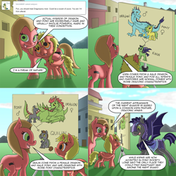 Size: 1602x1602 | Tagged: safe, artist:crispokefan, oc, oc:adamant, oc:dragonpony, oc:pun, bat pony, dracony, hybrid, pony, ask, ask pun, comic, headcanon, jossed