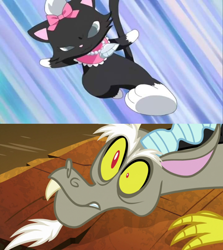 Size: 720x808 | Tagged: safe, artist:mega-poneo, edit, edited screencap, screencap, discord, cat, draconequus, the ending of the end, abuse, anime, comic, crossover, diana (jewelpet), discord drama, discordabuse, jewelpet, kick, mega poneo strikes again, meme, oh crap, roundhouse kick, sanrio, screencap comic, sega