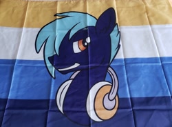 Size: 2048x1506 | Tagged: safe, artist:transformartive, oc, oc:hoof beatz, pony, bronycon, flag