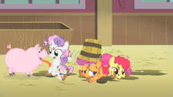 Size: 1280x720 | Tagged: safe, screencap, apple bloom, scootaloo, sweetie belle, earth pony, pegasus, pig, pony, unicorn, the show stoppers, animal, bucket, cloven hooves, cutie mark crusaders, dirty, female, filly, foal, licking, mud, tongue out