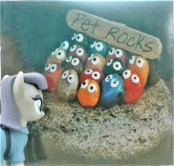 Size: 750x717 | Tagged: safe, artist:dex stewart, maud pie, earth pony, pony, album, album cover, cd, funko, googly eyes, pet rock, photo, solo, toy