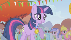 Size: 1280x720 | Tagged: safe, screencap, bon bon, candy mane, cherry berry, lemon hearts, linky, lyra heartstrings, ponet, rainbowshine, sea swirl, seafoam, shoeshine, sweetie drops, twilight sparkle, twinkleshine, unicorn twilight, earth pony, pony, unicorn, fall weather friends, 42, background pony, female, male, mare, medal, raised hoof, stallion