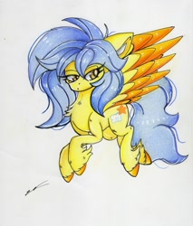 Size: 2451x2873 | Tagged: safe, artist:luxiwind, oc, oc:gold aura, pegasus, pony, female, high res, mare, solo, traditional art, two toned wings, wings