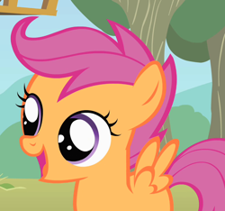 Size: 770x720 | Tagged: safe, screencap, scootaloo, pegasus, pony, the show stoppers, cropped, cute, cutealoo, female, filly, foal, open mouth, solo