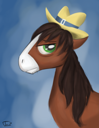 Size: 1985x2558 | Tagged: safe, artist:ratann, trouble shoes, earth pony, pony, bust, hat, male, profile, solo, stallion