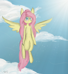 Size: 2345x2557 | Tagged: safe, artist:ratann, fluttershy, pegasus, pony, blank stare, cloud, flying, no pupils, solo