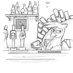 Size: 1280x1280 | Tagged: safe, artist:captainhoers, oc, oc:kalimu, griffon, alcohol, bar, bartender, lidded eyes, sierra nevada, sketch, solo, spanish