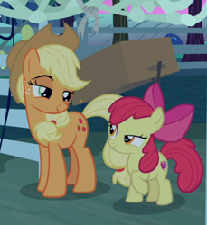 Size: 662x722 | Tagged: safe, screencap, apple bloom, applejack, earth pony, pony, going to seed, apple sisters, cropped, duo, lidded eyes, looking at each other, siblings, sisters, smug, smug bloom, smugjack